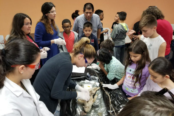 1-27-18-science-in-the-city-dissections-workshop-at-miami-lakes-library-10 Exploring Parallels Between Animal and Human Anatomy STEM Workshop at Miami Lakes Library